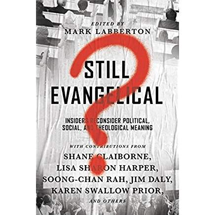 I’ve been published!   Here’s my review of “Still Evangelical?”
